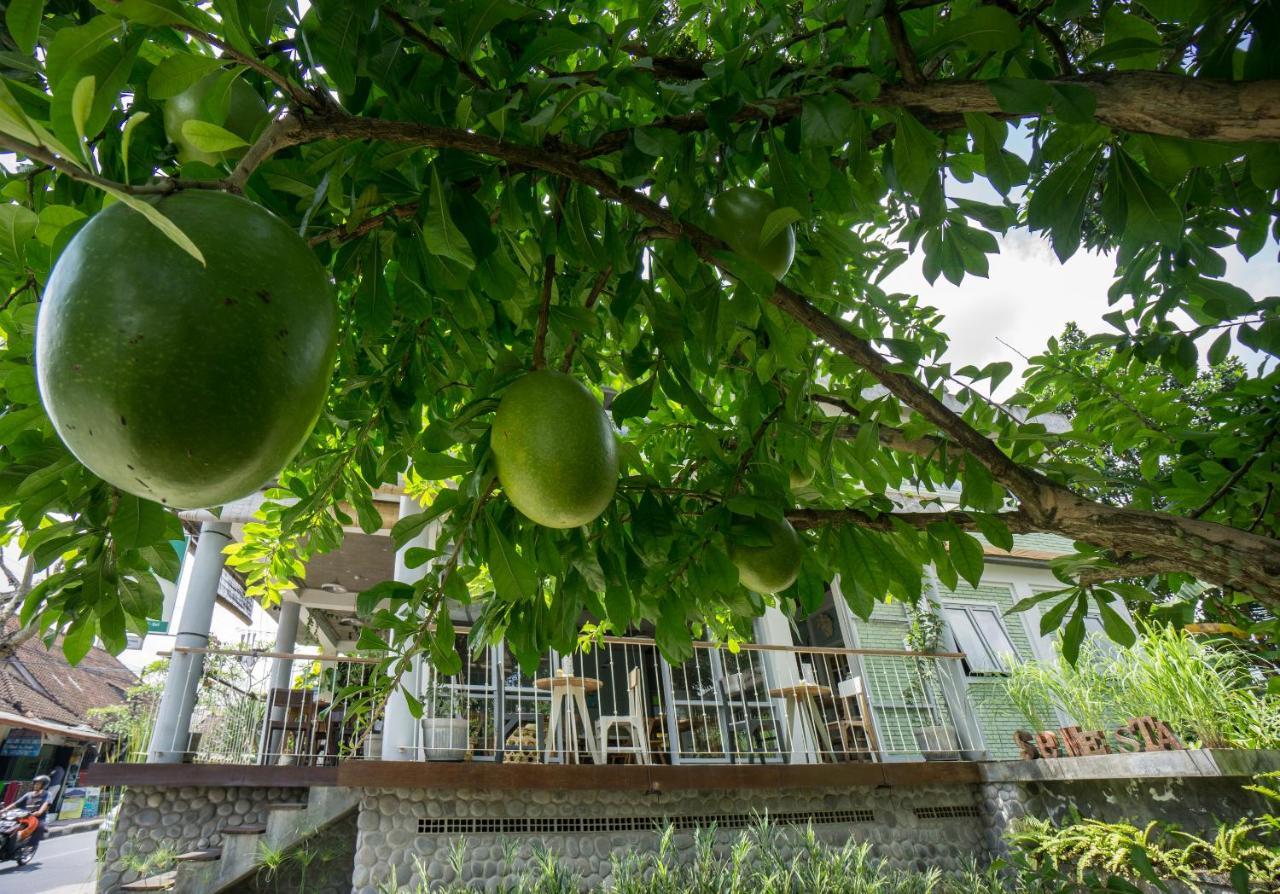 Tegal Sari Accommodation Ubud Dış mekan fotoğraf